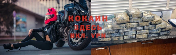 прущие грибы Вязники