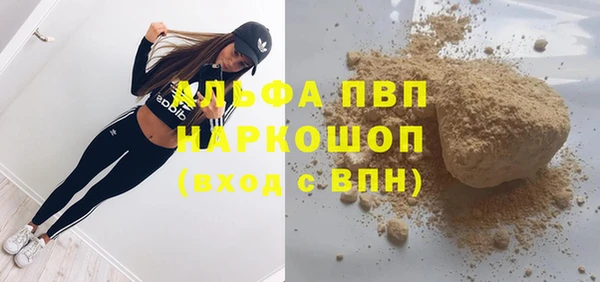 прущие грибы Вязники