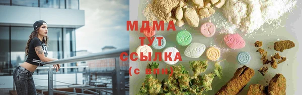 прущие грибы Вязники