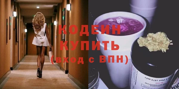 хмурый Вяземский