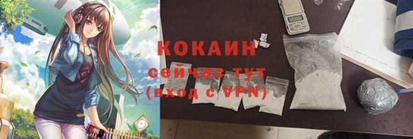 прущие грибы Вязники