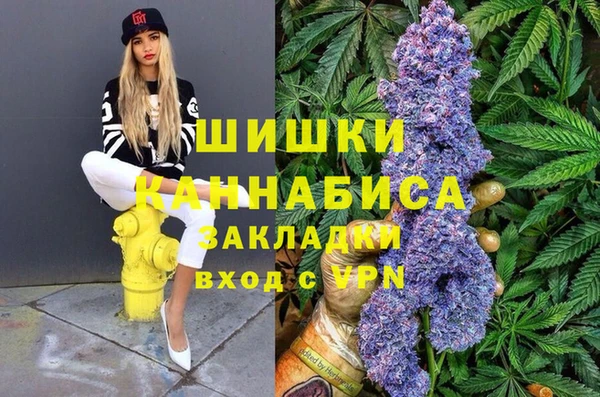 хмурый Вяземский