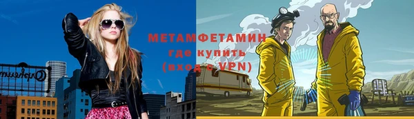 прущие грибы Вязники