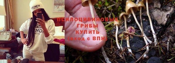 хмурый Вяземский