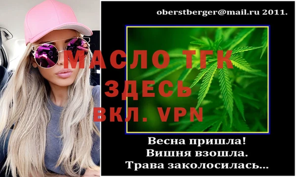 хмурый Вяземский