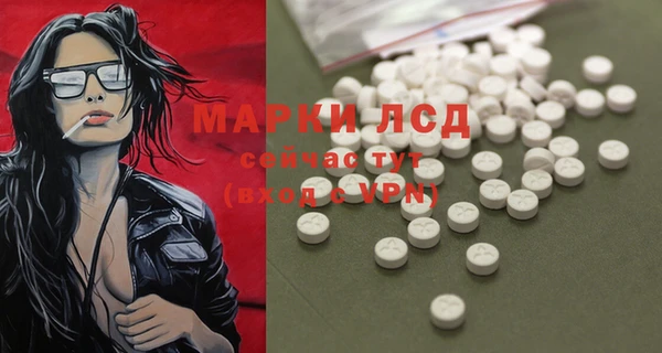 прущие грибы Вязники