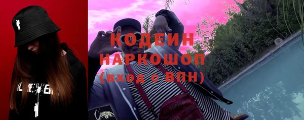 хмурый Вяземский